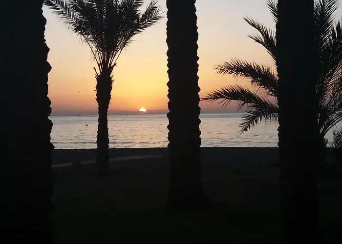 Aloha Paraiso